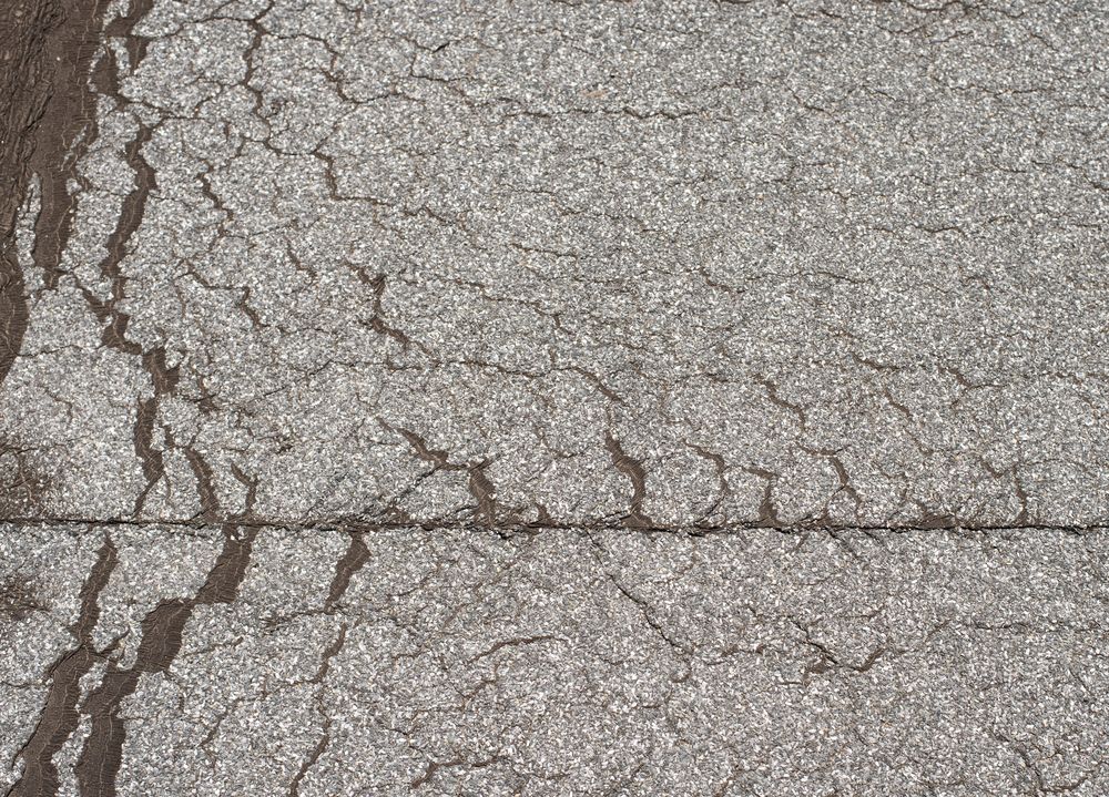 Daklekkage door scheuren in plat dak Prinsenbeek Losliggend dakleer op plat dak in Prinsenbeek